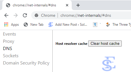 Clear DNS Cache of Google Chrome